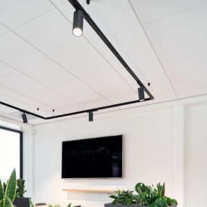 Huginn R LED railspots project 3
